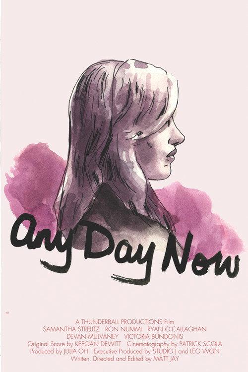 Any Day Now 2011 official movie poster