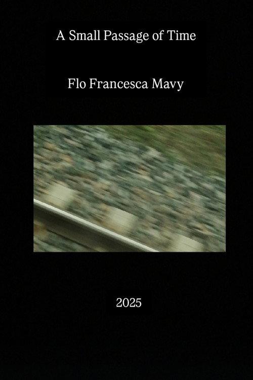 A Small Passage of Time 2025 official movie poster