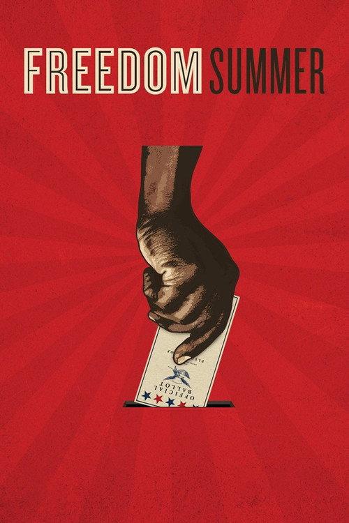 Freedom Summer 2014 official movie poster