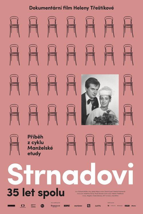 A Marriage Story 2017 official movie poster