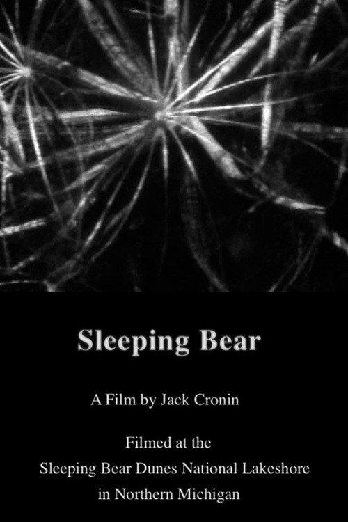 Sleeping Bear 2011 official movie poster