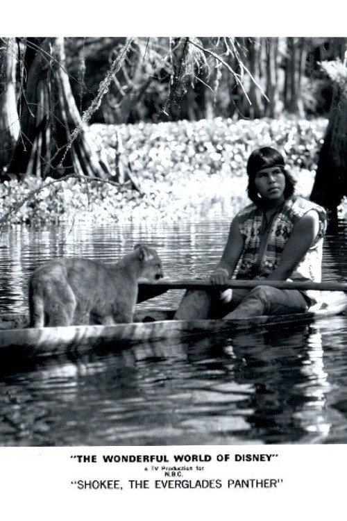 Shokee, the Everglades Panther 1974 official movie poster