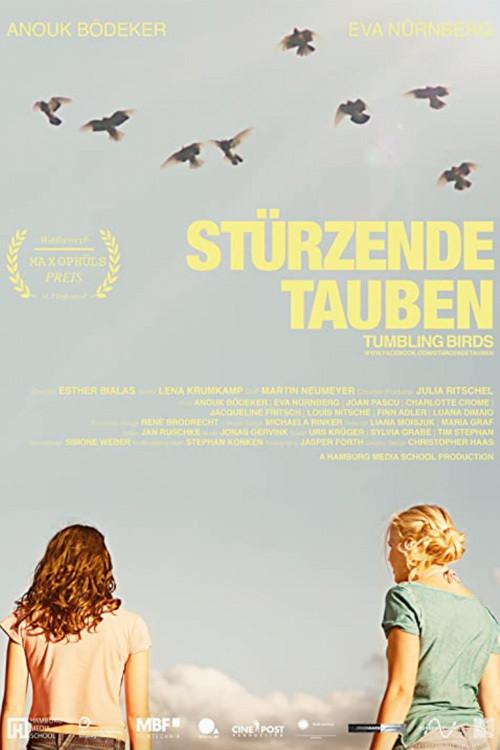 Tumbling Birds 2013 official movie poster