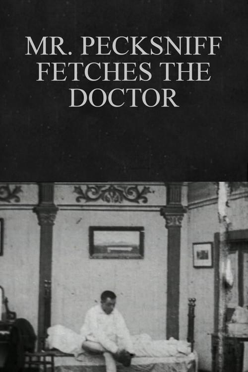 Mr. Pecksniff Fetches the Doctor 1904 official movie poster