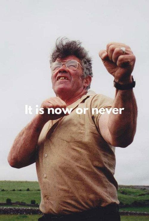 It's Now or Never 1996 official movie poster
