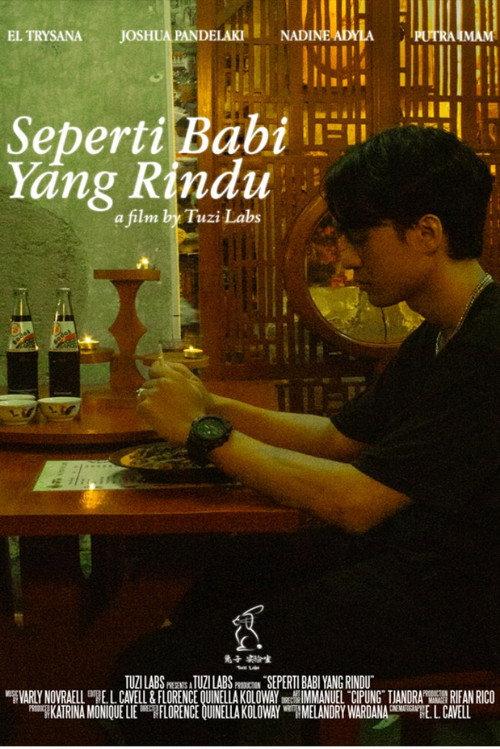 The Longing of a Pig official movie poster