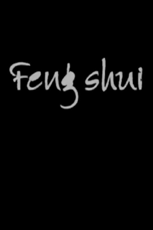 Feng Shui 2005 official movie poster