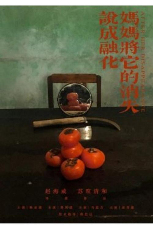 After Her Disappearance 2020 official movie poster