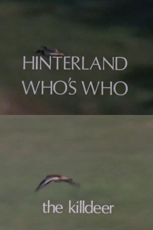 Hinterland Who's Who: Killdeer 1973 official movie poster