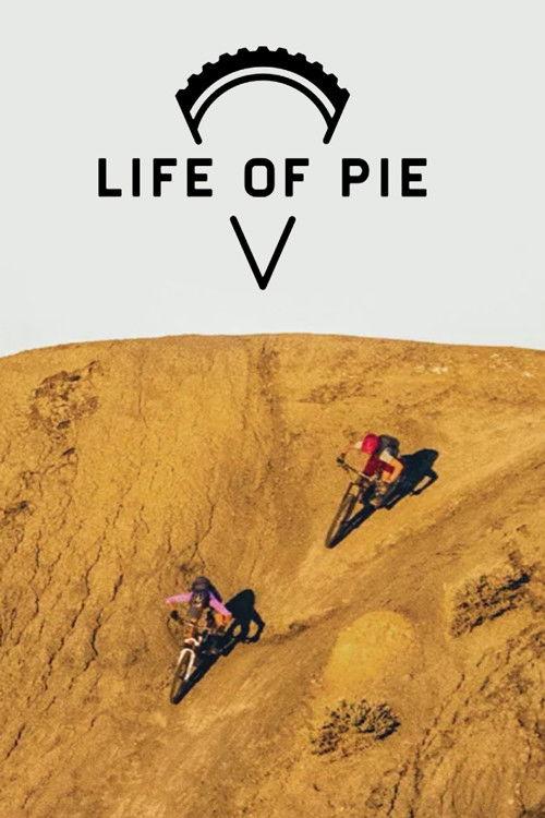 Life of Pie 2019 official movie poster