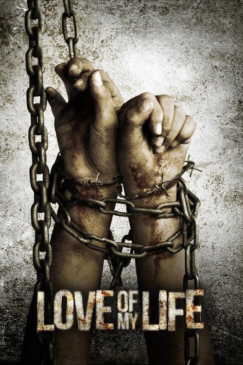 Love of My Life 2013 official movie poster