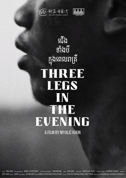 Three Legs in the Evening 2024 official movie poster