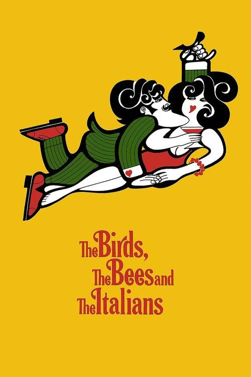 The Birds, the Bees and the Italians 1966 official movie poster