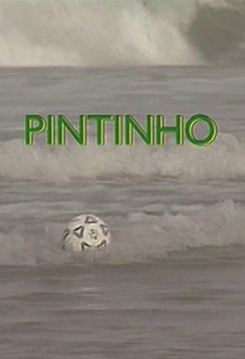 Pintinho 1994 official movie poster