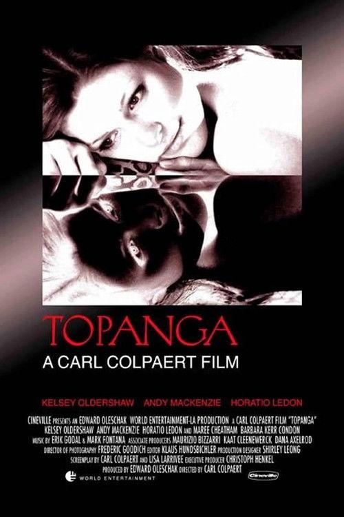 The Affair 2004 official movie poster