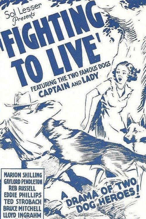 Fighting to Live 1934 official movie poster