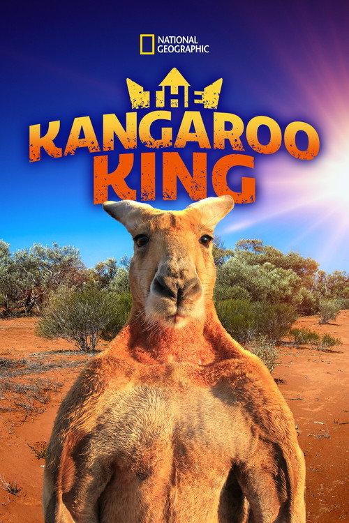 The Kangaroo King 2015 official movie poster