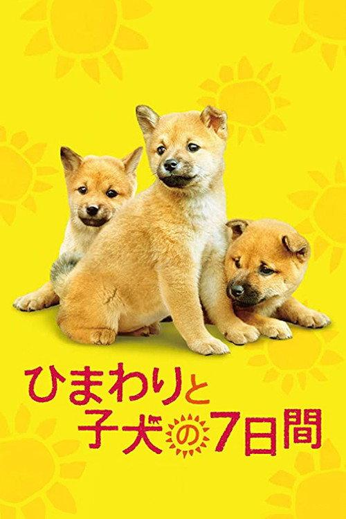 7 Days of Himawari & Her Puppies 2013 official movie poster