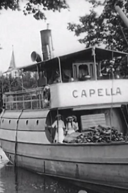 Dalsland's Canal 1917 official movie poster