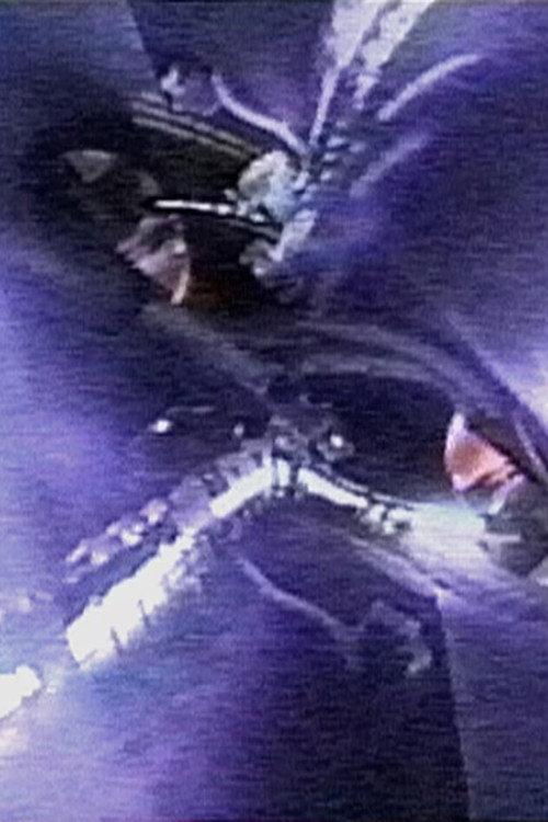 Waveform Modulation 2001 official movie poster
