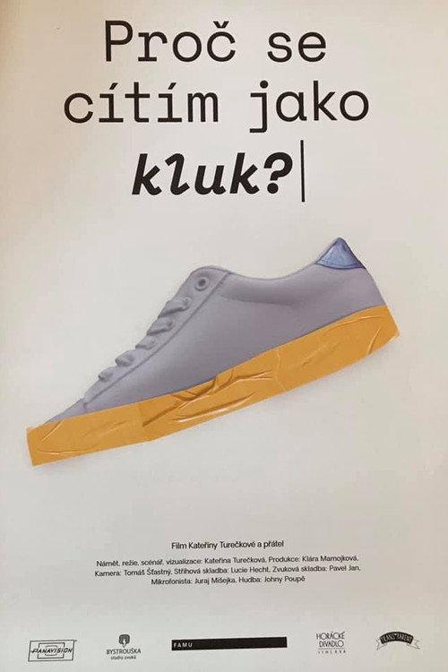 Why Do I Feel like a Boy? 2019 official movie poster