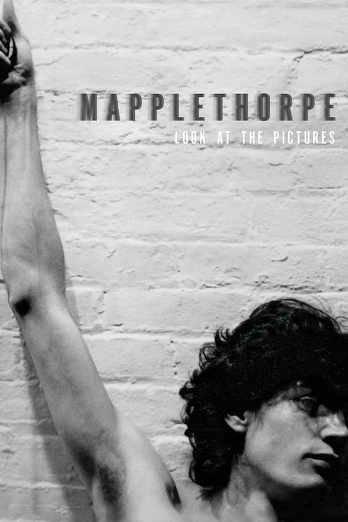 Mapplethorpe: Look at the Pictures 2016 official movie poster