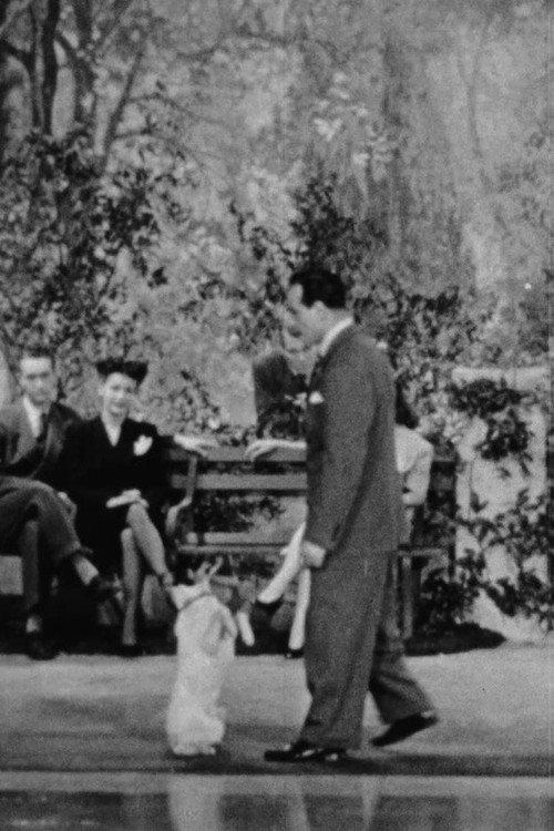 Canine Capers 1944 official movie poster