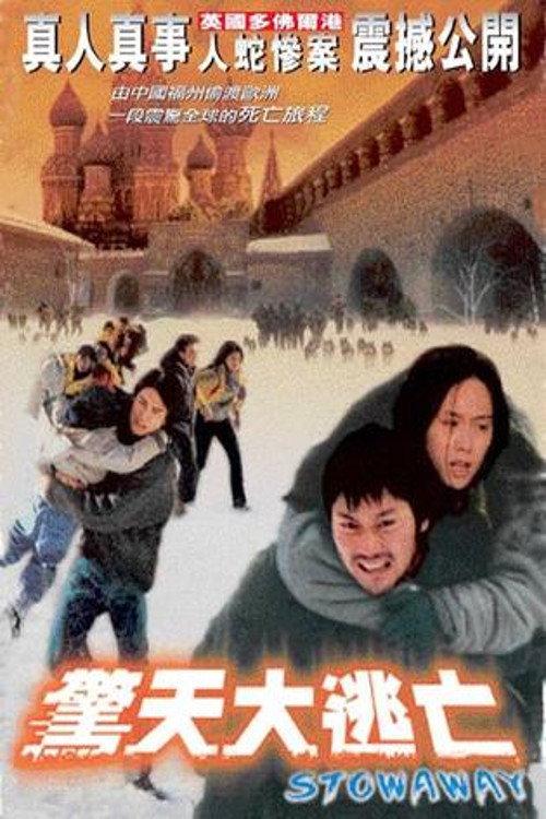 Stowaway 2001 official movie poster