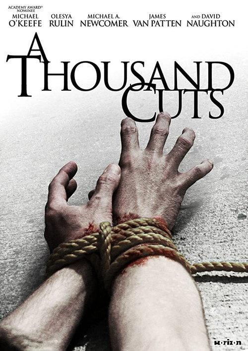 A Thousand Cuts 2012 official movie poster