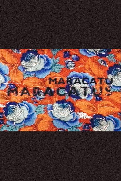 Maracatu, Maracatus 1995 official movie poster