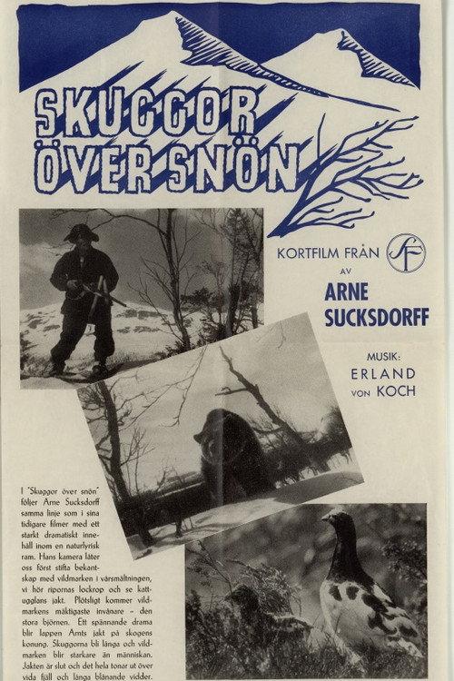 Shadows on the Snow 1946 official movie poster