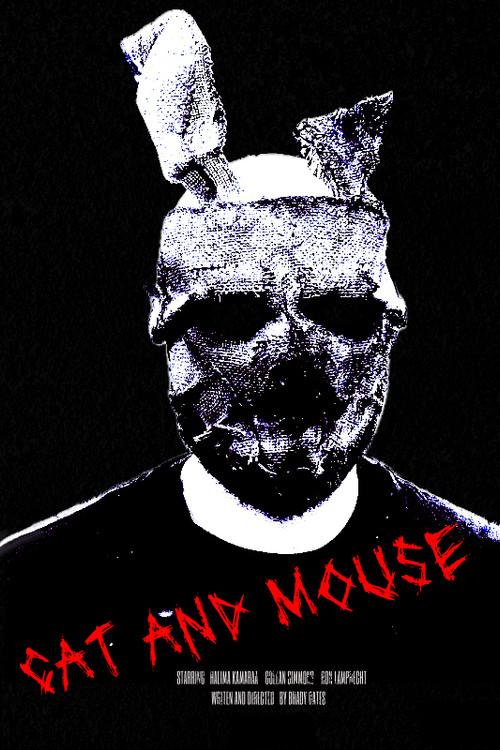 Cat and Mouse 2026 official movie poster