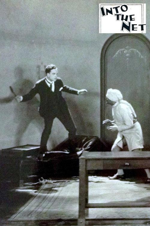 Into the Net 1924 official movie poster