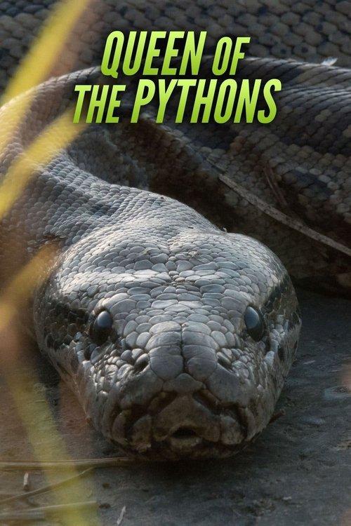Queen of the Pythons 2019 official movie poster