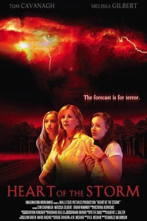 Heart of the Storm 2004 official movie poster