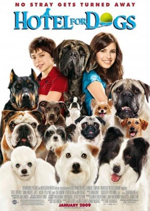A Home for Everyone: The Making of 'Hotel for Dogs' 2009 official movie poster