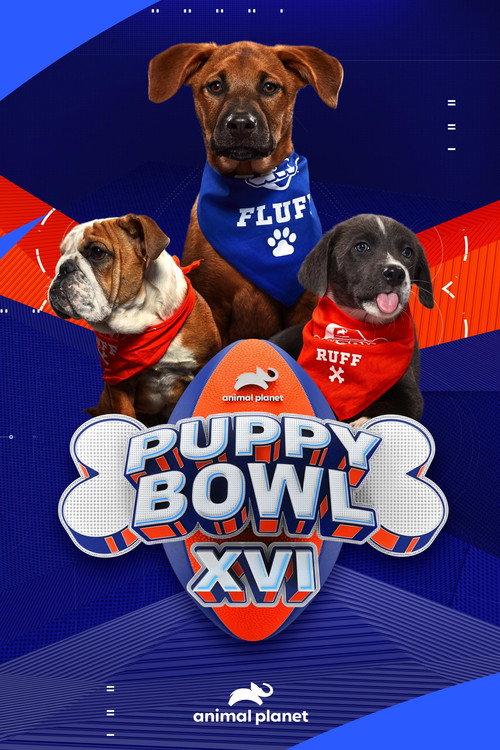 Puppy Bowl XVI 2020 official movie poster