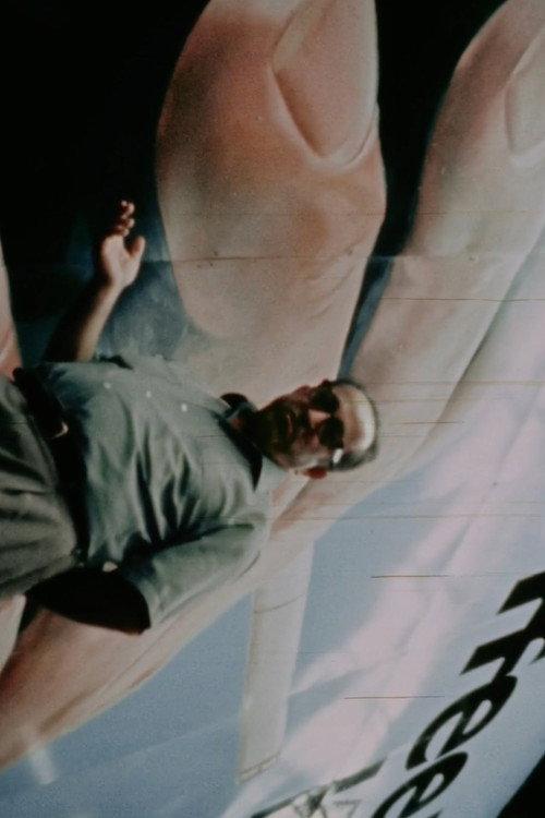 Sign Painters 1972 official movie poster