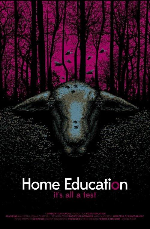 Home Education 2016 official movie poster