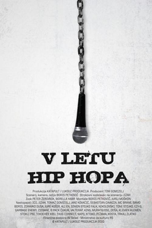 In the Year of Hip Hop 2011 official movie poster
