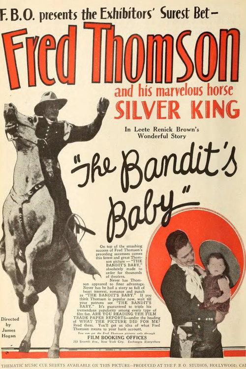 The Bandit's Baby 1925 official movie poster