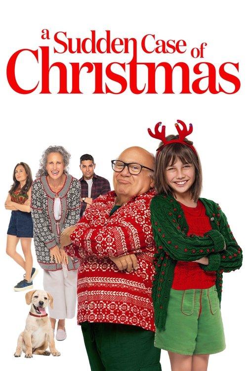 A Sudden Case of Christmas 2024 official movie poster