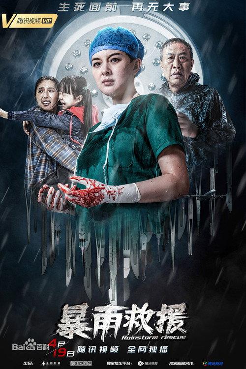 Rainstorm Rescue 2019 official movie poster