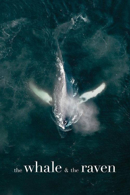 The Whale and the Raven 2019 official movie poster