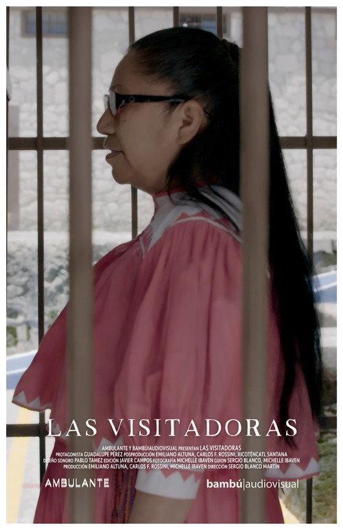 Justice In Translation 2018 official movie poster