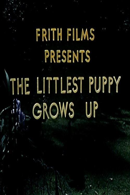 The Littlest Puppy Grows Up 1954 official movie poster