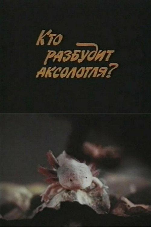 Who Will Wake Up the Axolotl? 1981 official movie poster