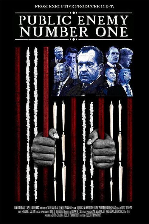 Public Enemy Number One 2019 official movie poster