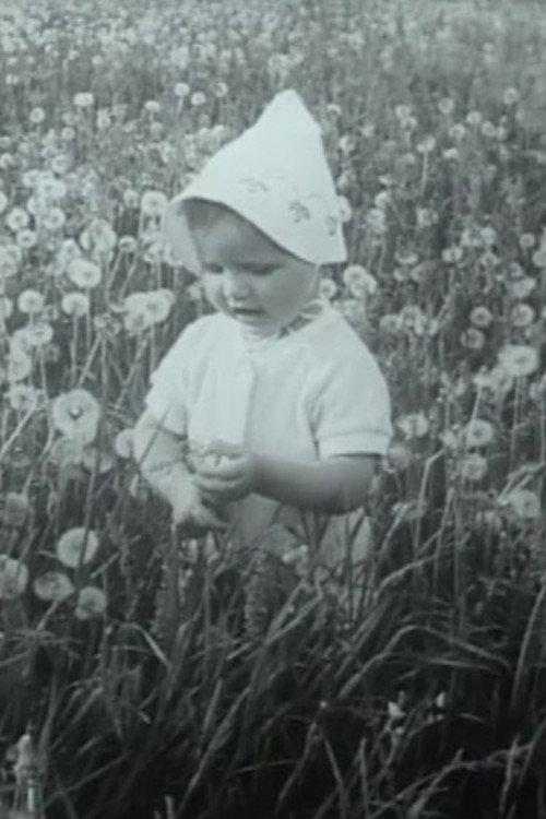 Through the Blooming Linden 1982 official movie poster