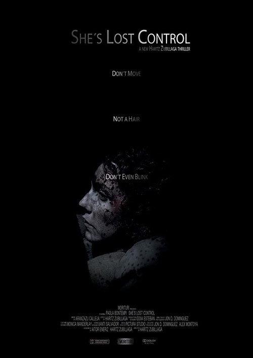 She's Lost Control 2011 official movie poster